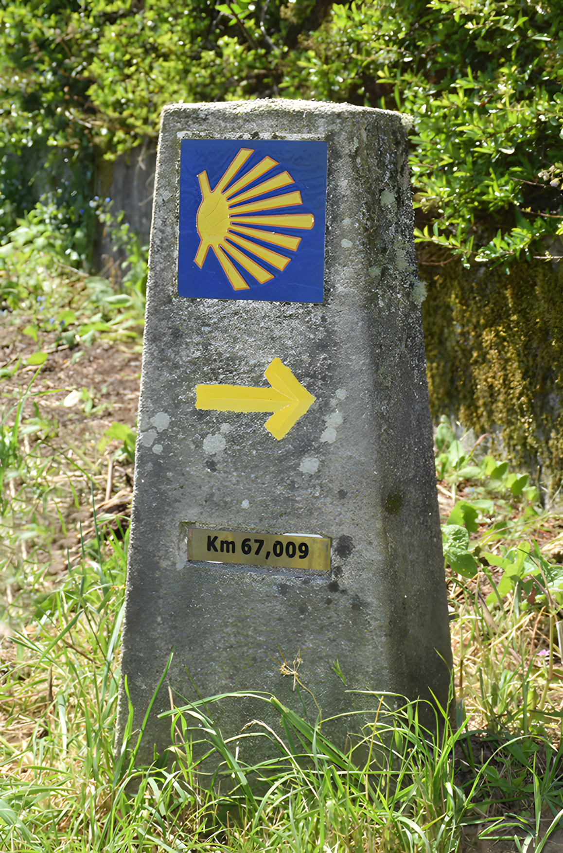 Tourism - Camiño de Santiago