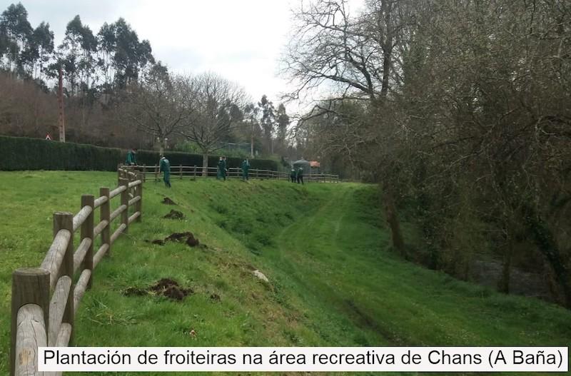 Plantacion de froiteiras