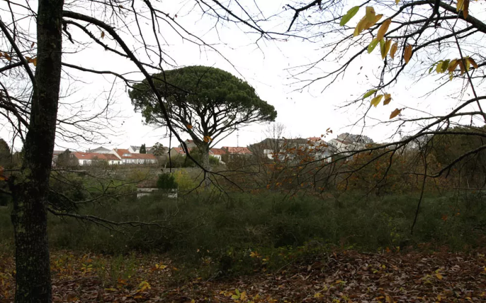 Concello Negreira