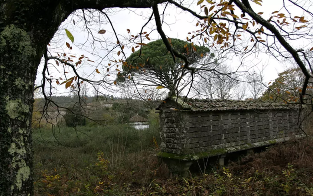 Concello Negreira