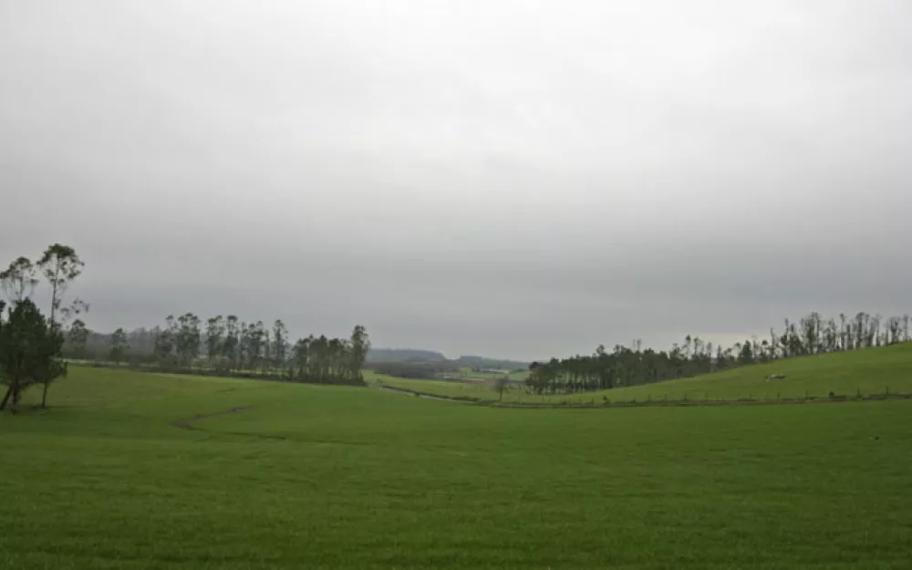 Concello Negreira