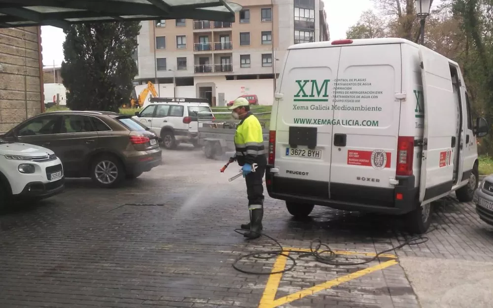 Xema1.jpg
