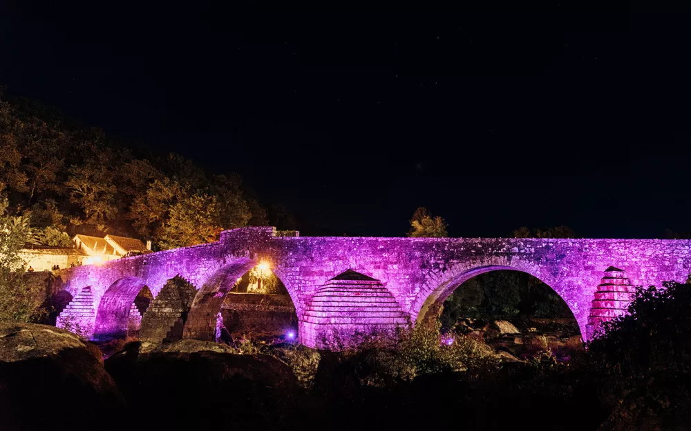 Proclamación Ponte Maceira