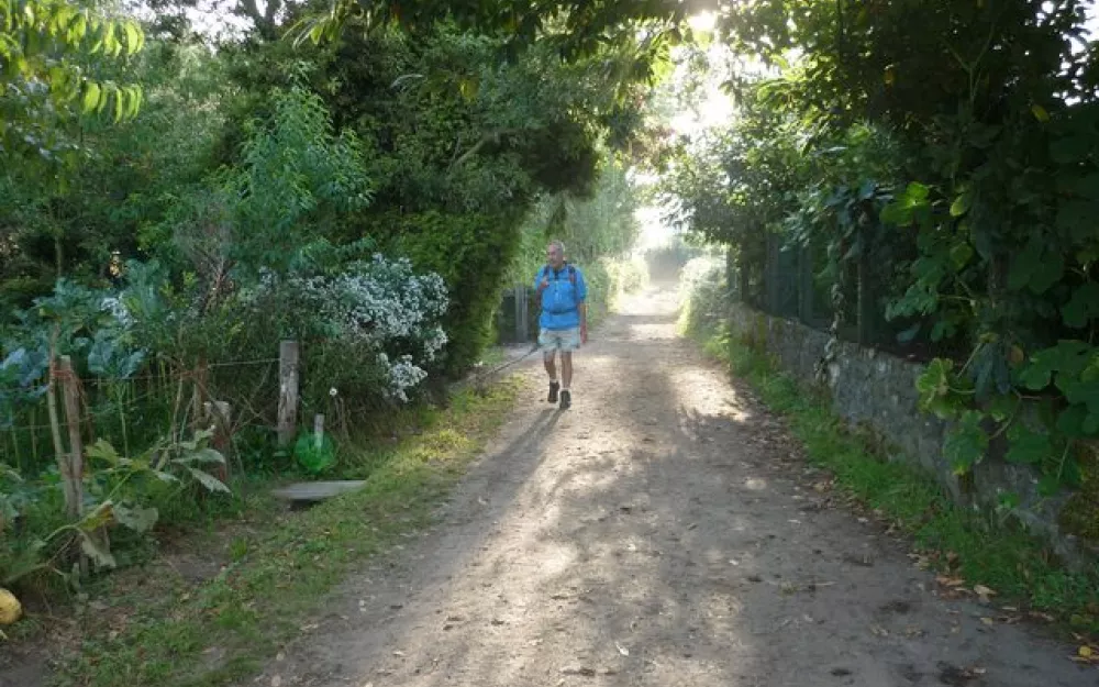 Andaina 2012