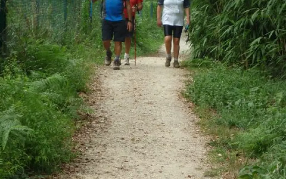 Andaina 2012