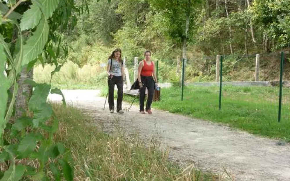 Andaina 2012