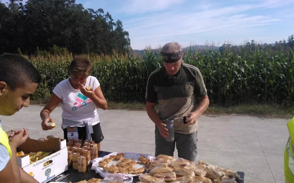 Andaina 2013