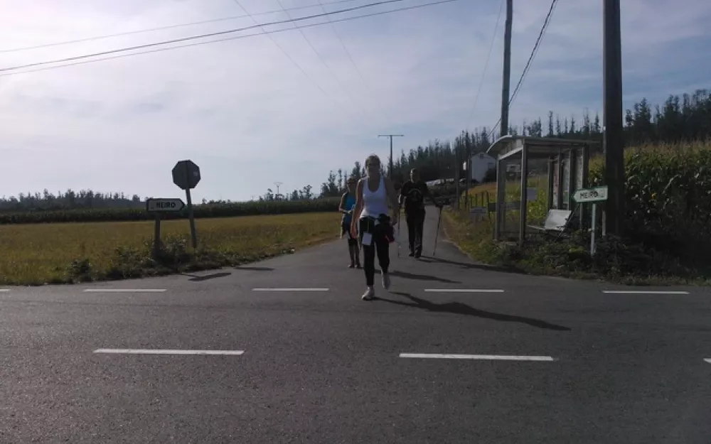 Andaina 2013