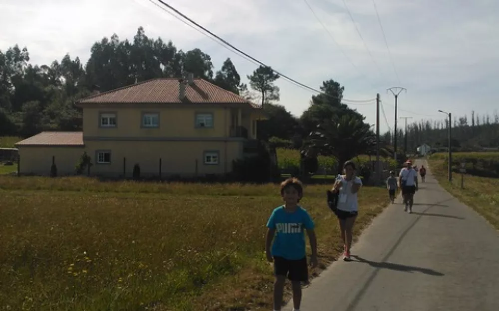 Andaina 2013
