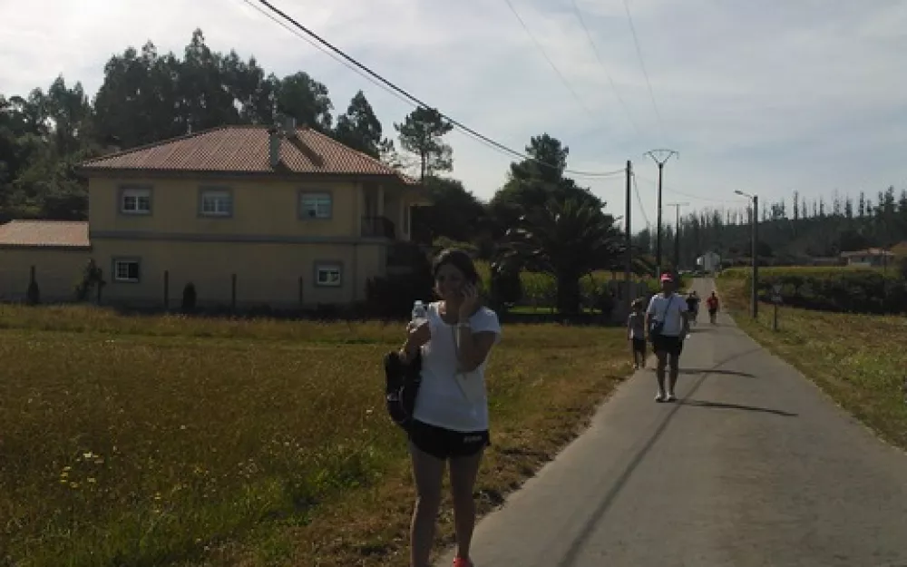 Andaina 2013