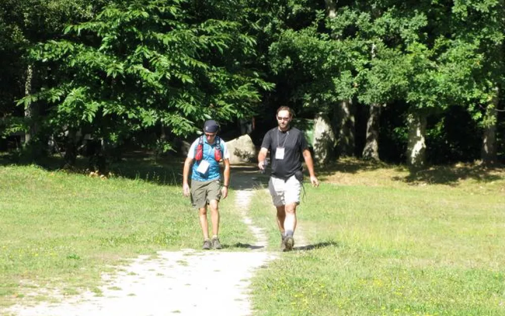 Andaina 2013