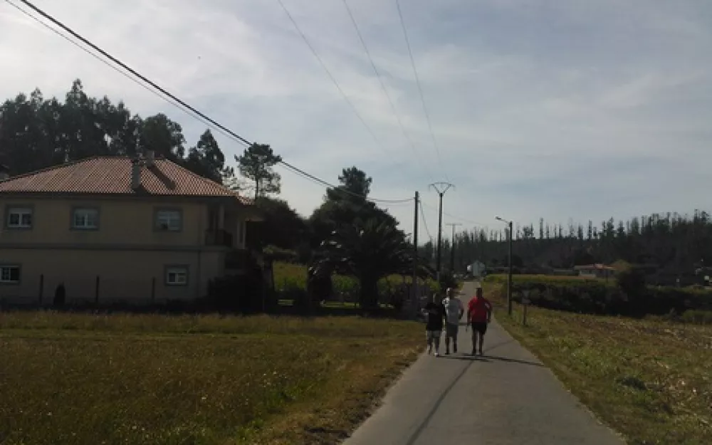 Andaina 2013
