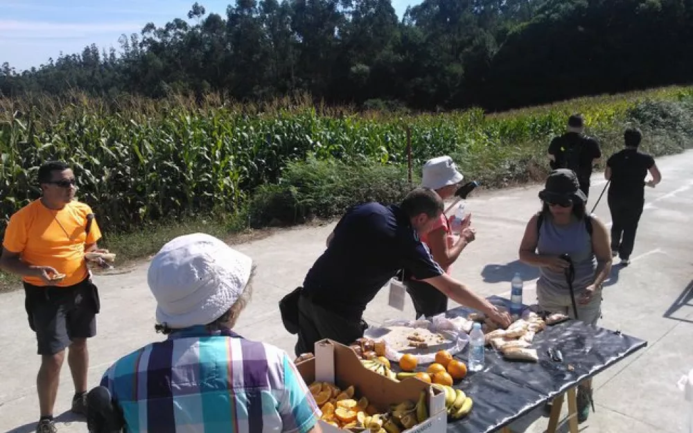 Andaina 2013