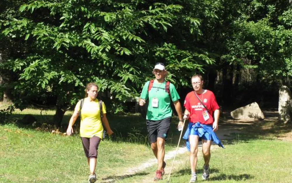 Andaina 2013