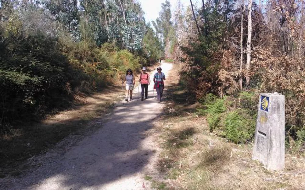 Andaina 2013