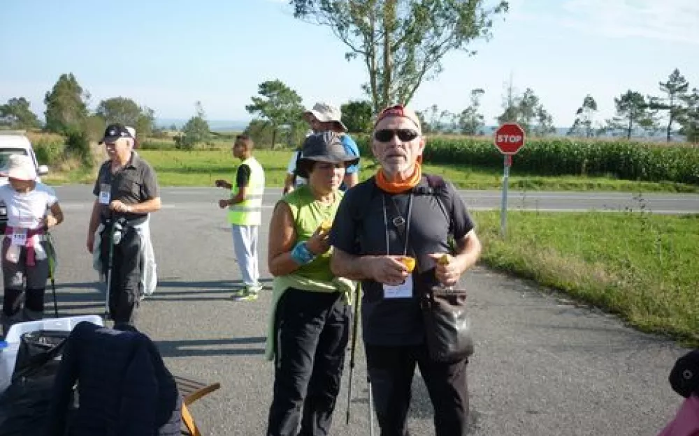 Andaina 2014