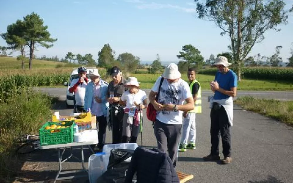 Andaina 2014