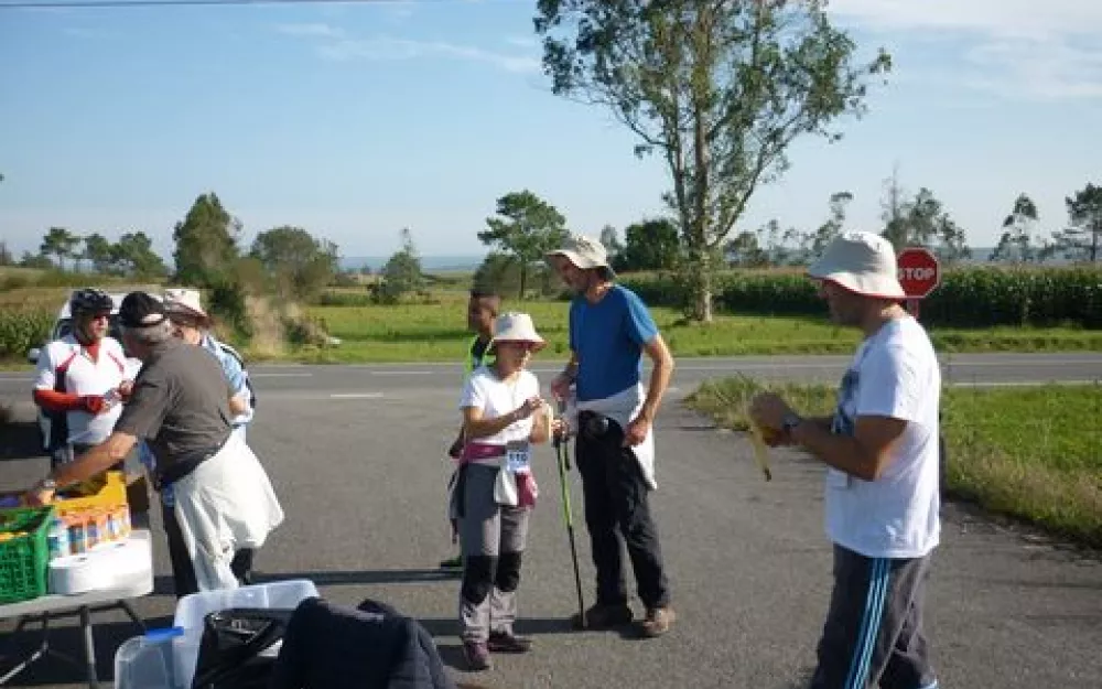 Andaina 2014