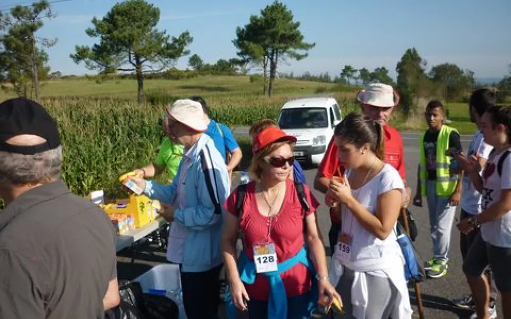 Andaina 2014