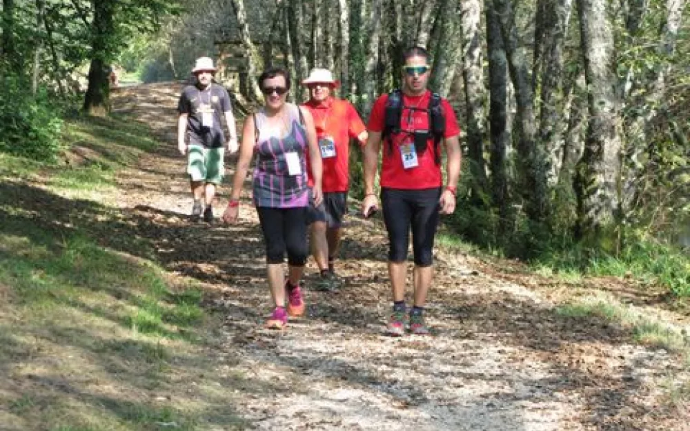 Andaina 2014