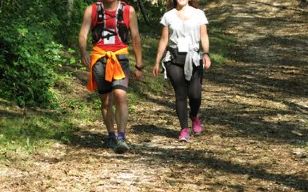 Andaina 2014