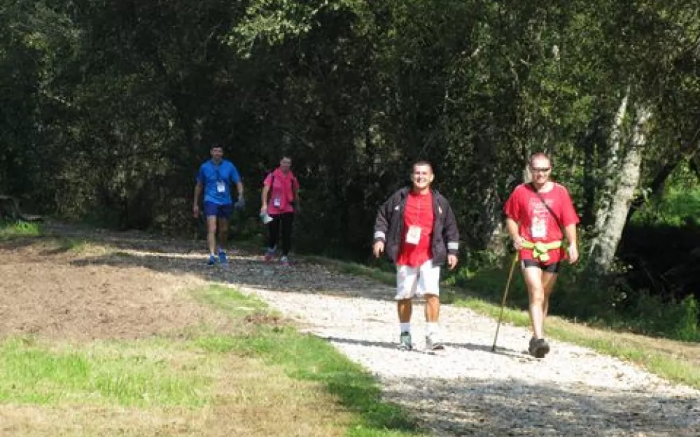 Andaina 2014