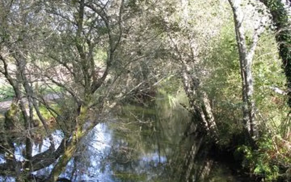 Andaina 2014