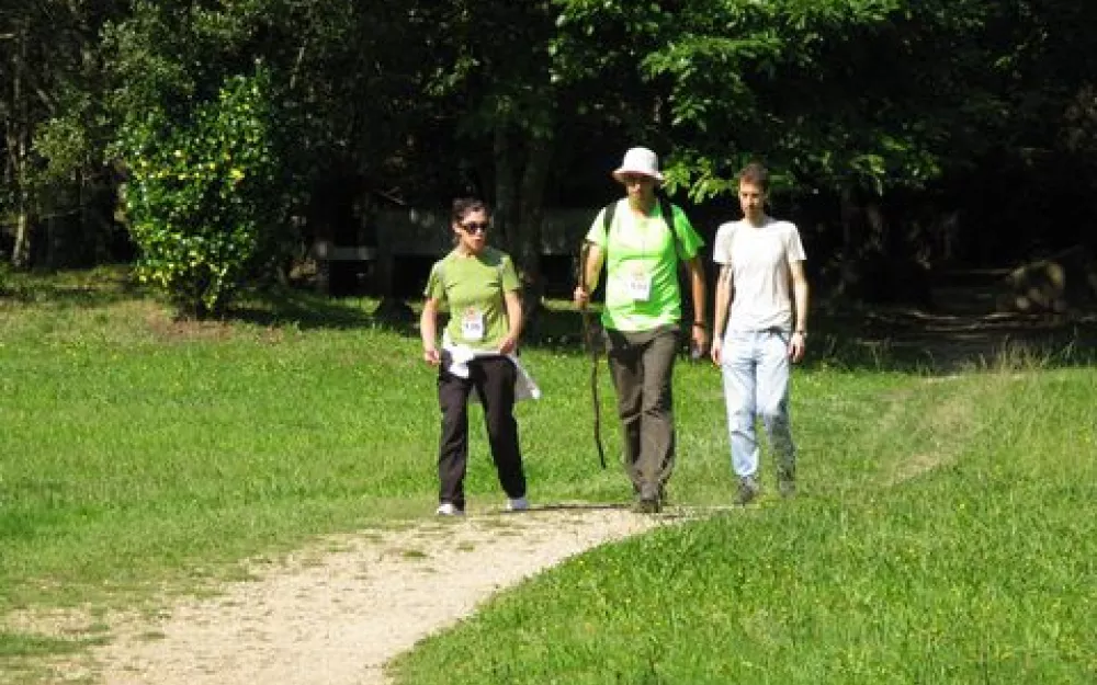 Andaina 2014