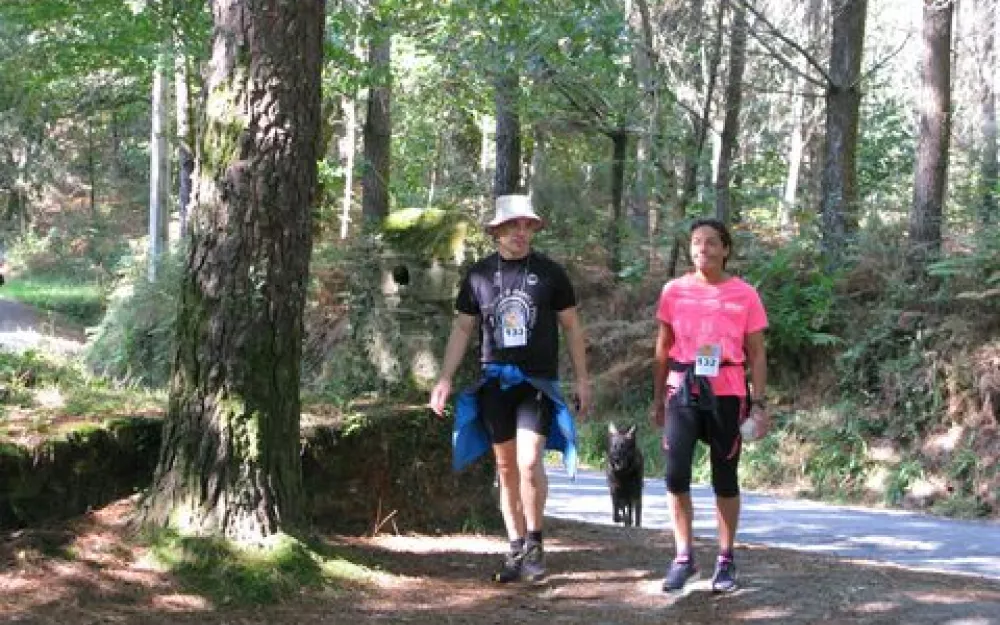 Andaina 2014