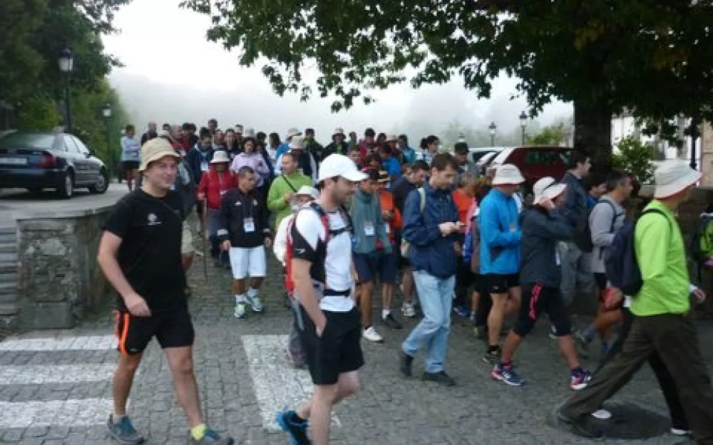 Andaina 2014
