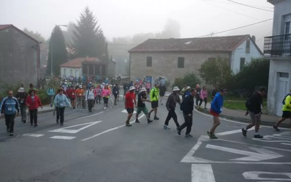 Andaina 2014