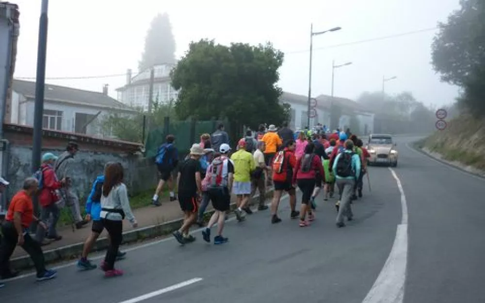 Andaina 2014