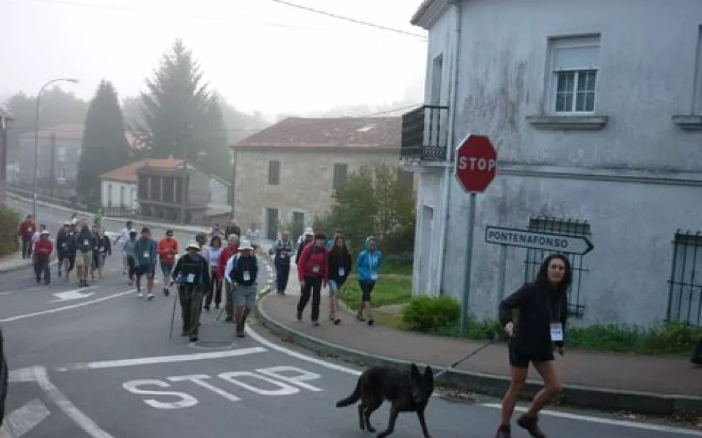 Andaina 2014
