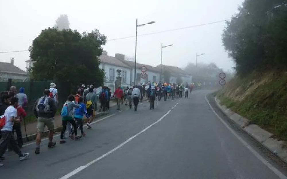 Andaina 2014
