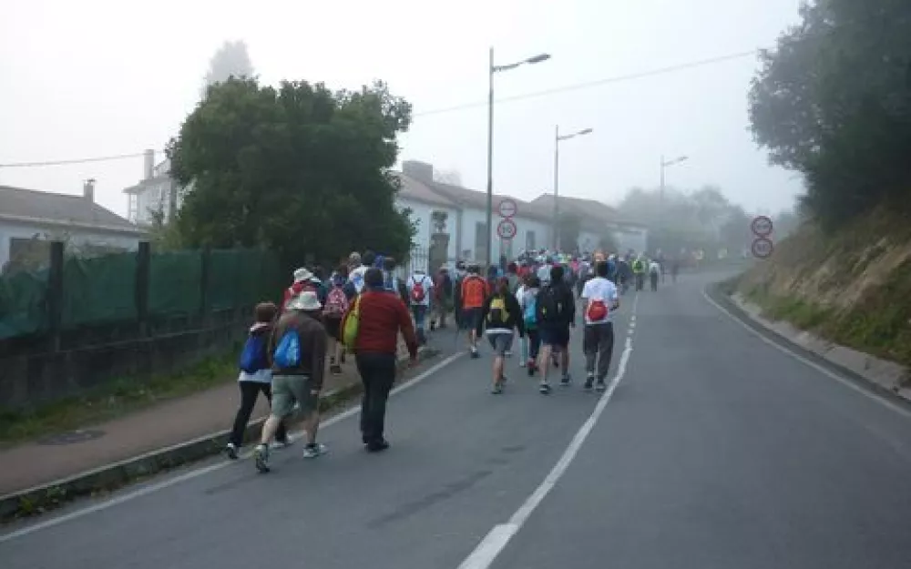 Andaina 2014