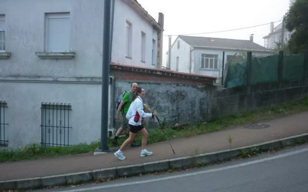 Andaina 2014
