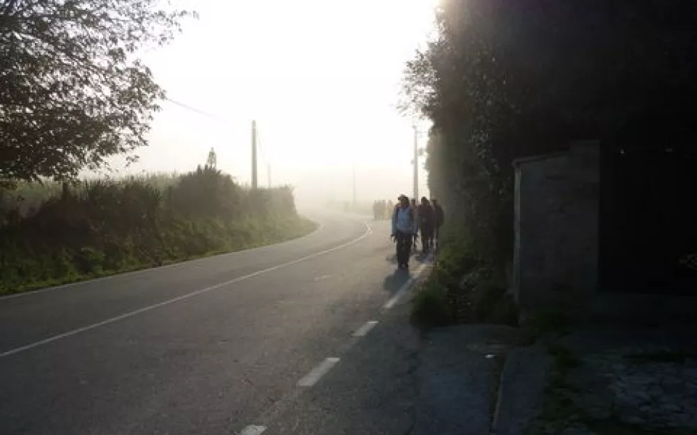 Andaina 2014