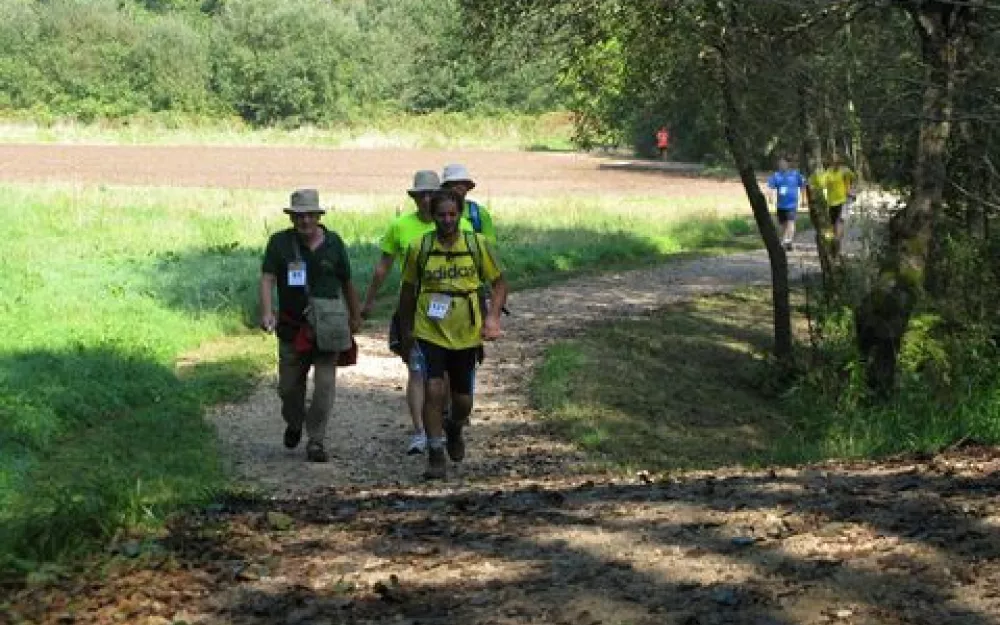 Andaina 2014
