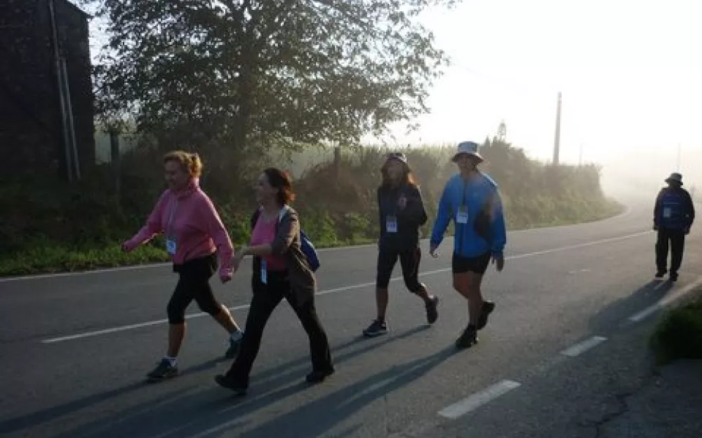 Andaina 2014