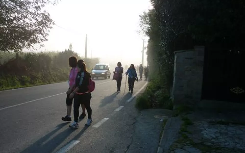 Andaina 2014
