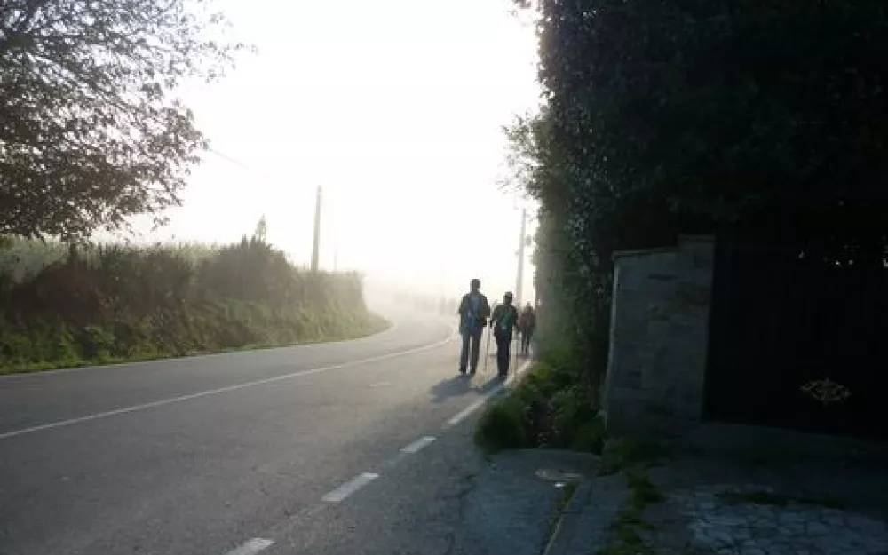 Andaina 2014