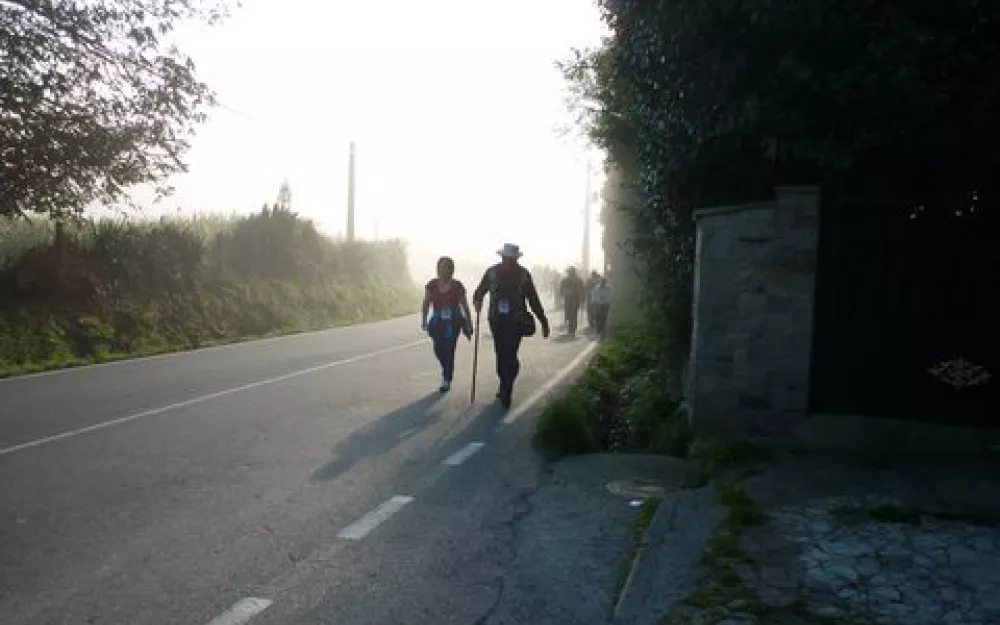 Andaina 2014