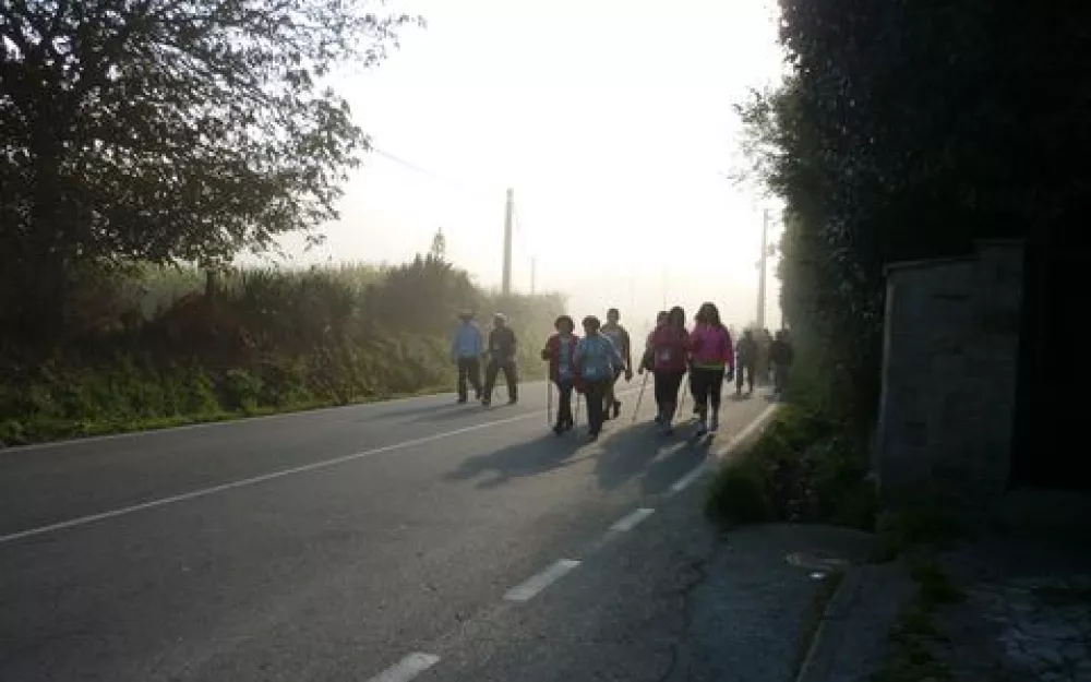 Andaina 2014