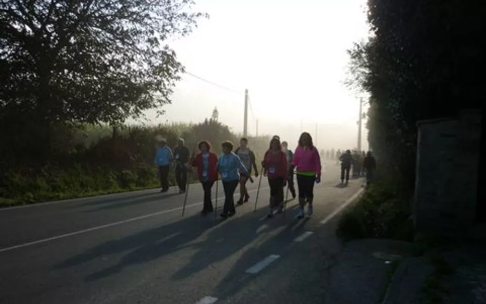 Andaina 2014