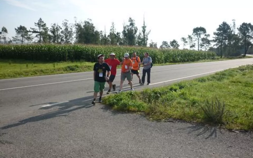 Andaina 2014