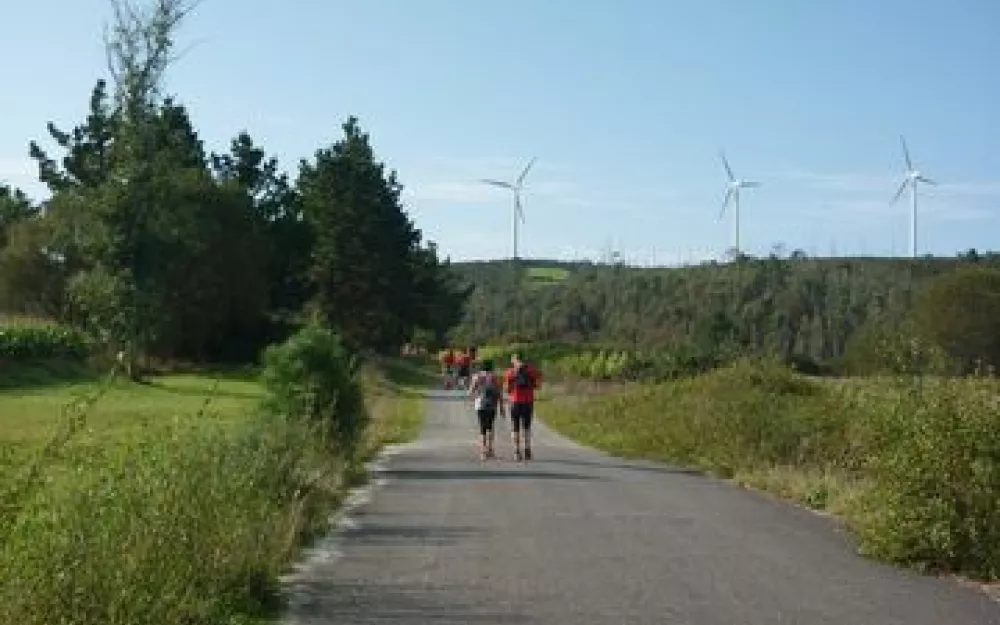 Andaina 2014