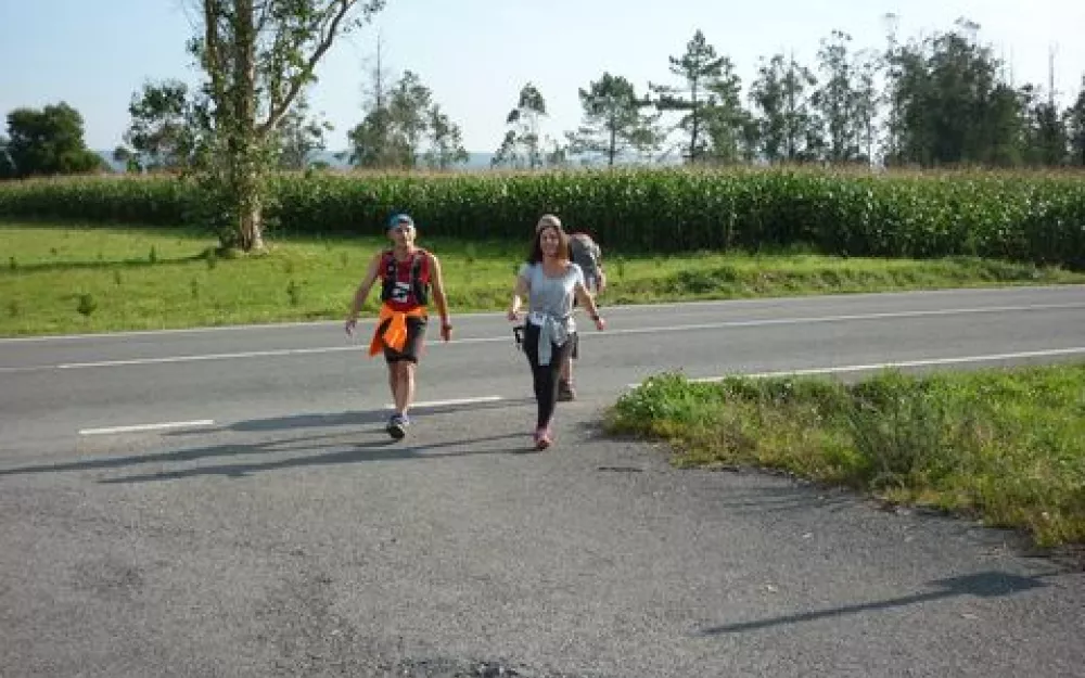Andaina 2014