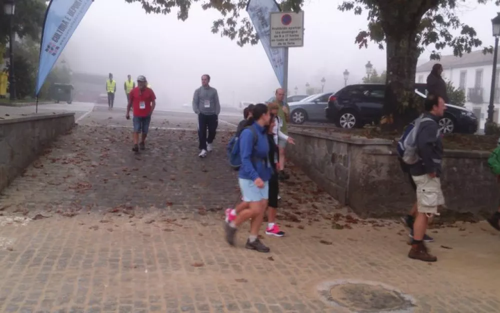Andaina 2015