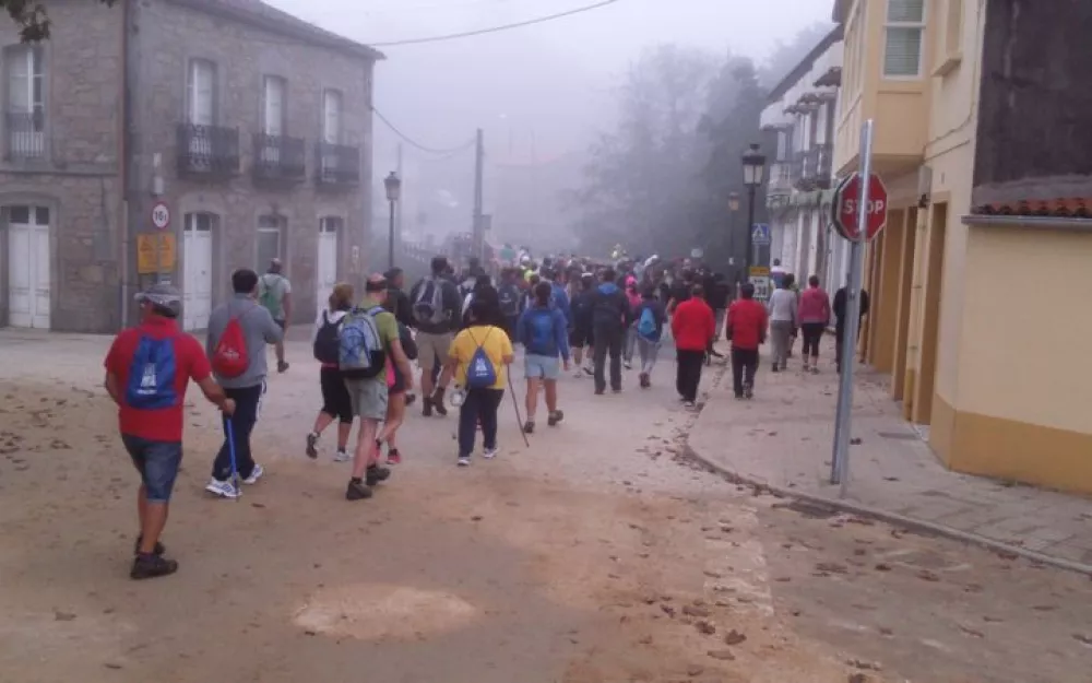 Andaina 2015