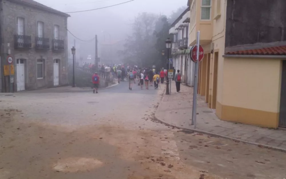 Andaina 2015
